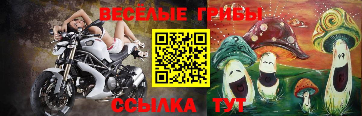 Галлюциногенные грибы Psilocybine cubensis Новодвинск